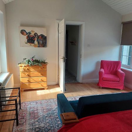 Kitty'S Cottage Килкени Екстериор снимка